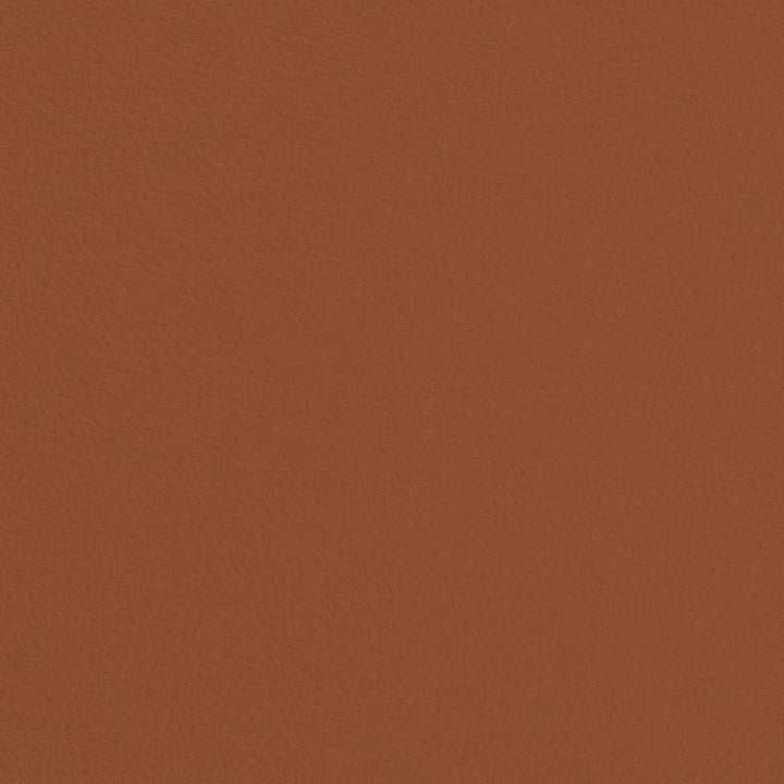 V685 Rust by Charlotte Designer Fabric Defender Face: 100% PVC, Back: Polyester knit backing, 28oz Thailand Exceeds 2,000,000 Wyzenbeek Double Rubs (Heavy Duty) </p><p>Repeat: 54 Inches - Swanky Fabrics -