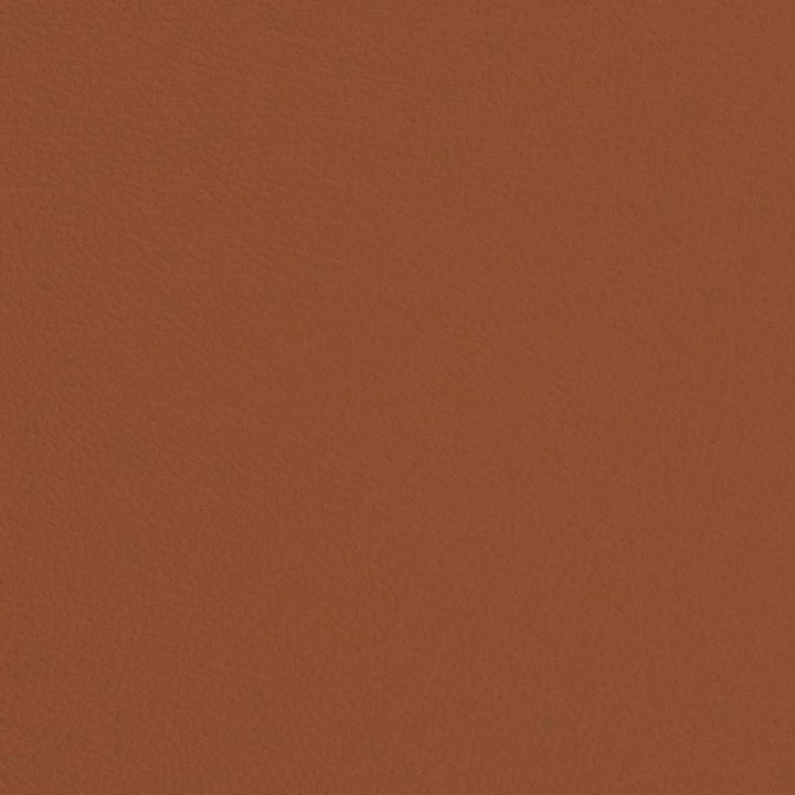 V685 Rust by Charlotte Fabric Defender Face: 100% PVC, Back: Polyester knit backing, 28oz Thailand Exceeds 2,000,000 Wyzenbeek Double Rubs (Heavy Duty) </p><p>Repeat: No Repeat 54 Inches - Fabric Carolina -