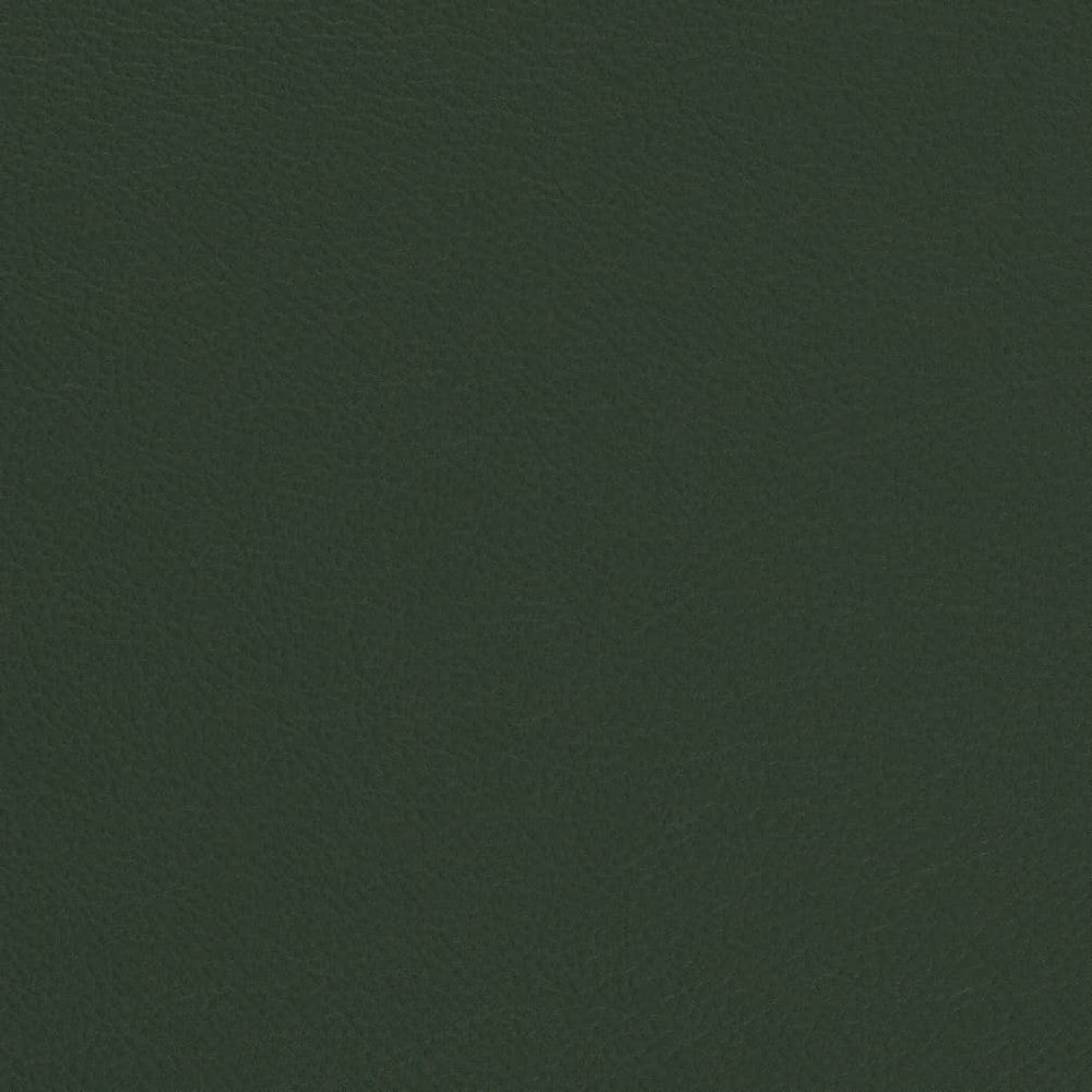 V699 Evergreen by Charlotte Fabric Defender Face: 100% PVC, Back: Polyester knit backing, 28oz Thailand Exceeds 2,000,000 Wyzenbeek Double Rubs (Heavy Duty) </p><p>Repeat: 54 Inches - Fabric Carolina -