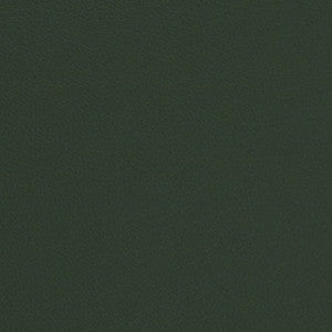 V699 Evergreen by Charlotte Fabric