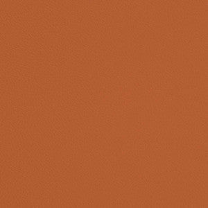 V700 Marmalade by Charlotte Fabric