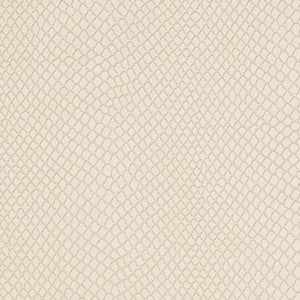 V719 Lace by Charlotte Fabric