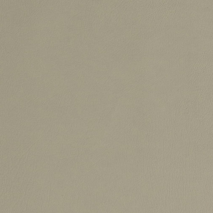 V753 Stone by Charlotte Fabric Decorative Vinyl II 55% PVC, 40% Polyester, 5% Polyurethane Asia Exceeds 100,000 Wyzenbeek Rubs (Heavy Duty) </p><p>Repeat: No Repeat 54 Inches - Fabric Carolina -