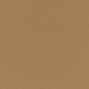 V779 Sandstone by Charlotte Fabric