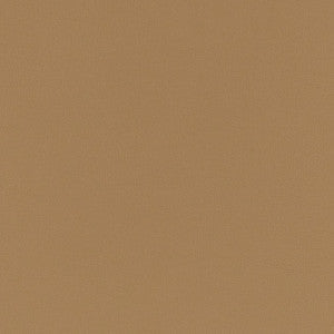 V779 Sandstone by Charlotte Fabric