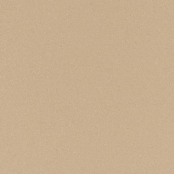 V780 Taupe by Charlotte Fabric Value Vinyl III 22oz, Face: 100% Polyurethane, Back: 70% Polyester, 30% Cotton Asia Exceeds 40,0000 Wyzenbeek Rubs (Heavy Duty) </p><p>Repeat: No Repeat 54 Inches - Fabric Carolina -