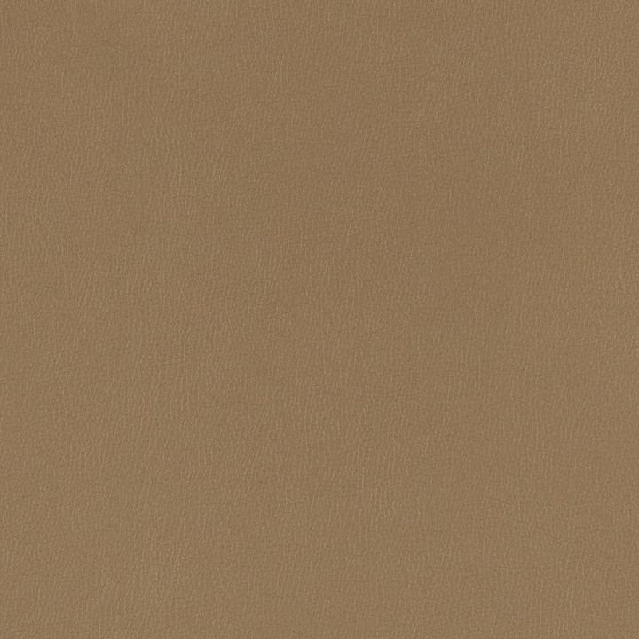 V782 Hazelnut by Charlotte Fabric Value Vinyl III 22oz, Face: 100% Polyurethane, Back: 70% Polyester, 30% Cotton Asia Exceeds 40,0000 Wyzenbeek Rubs (Heavy Duty) </p><p>Repeat: No Repeat 54 Inches - Fabric Carolina -