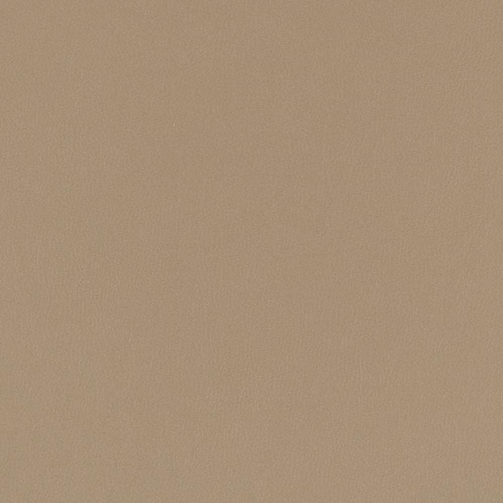 V784 Pewter by Charlotte Fabric Value Vinyl III 22oz, Face: 100% Polyurethane, Back: 70% Polyester, 30% Cotton Asia Exceeds 40,0000 Wyzenbeek Rubs (Heavy Duty) </p><p>Repeat: No Repeat 54 Inches - Fabric Carolina -