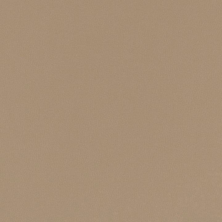 V784 Pewter by Charlotte Fabric Value Vinyl III 22oz, Face: 100% Polyurethane, Back: 70% Polyester, 30% Cotton Asia Exceeds 40,0000 Wyzenbeek Rubs (Heavy Duty) </p><p>Repeat: No Repeat 54 Inches - Fabric Carolina -