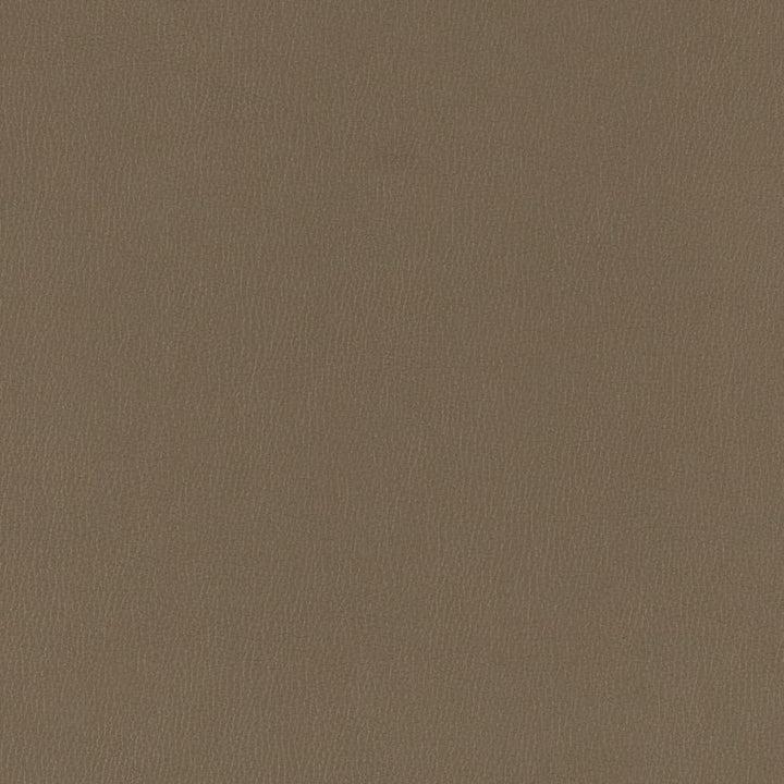 V786 Iron by Charlotte Fabric Value Vinyl III 22oz, Face: 100% Polyurethane, Back: 70% Polyester, 30% Cotton Asia Exceeds 40,0000 Wyzenbeek Rubs (Heavy Duty) </p><p>Repeat: No Repeat 54 Inches - Fabric Carolina -