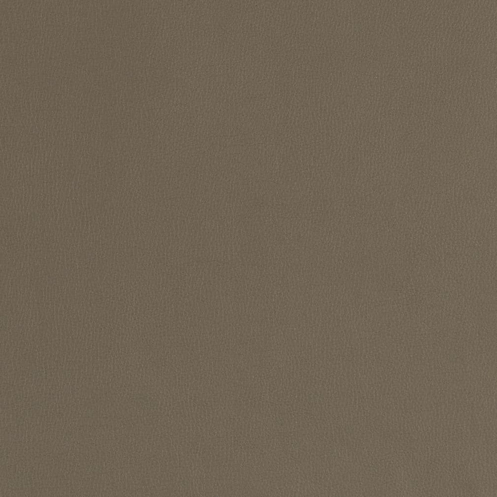 V787 Ash by Charlotte Fabric Value Vinyl III 22oz, Face: 100% Polyurethane, Back: 70% Polyester, 30% Cotton Asia Exceeds 40,0000 Wyzenbeek Rubs (Heavy Duty) </p><p>Repeat: No Repeat 54 Inches - Fabric Carolina -