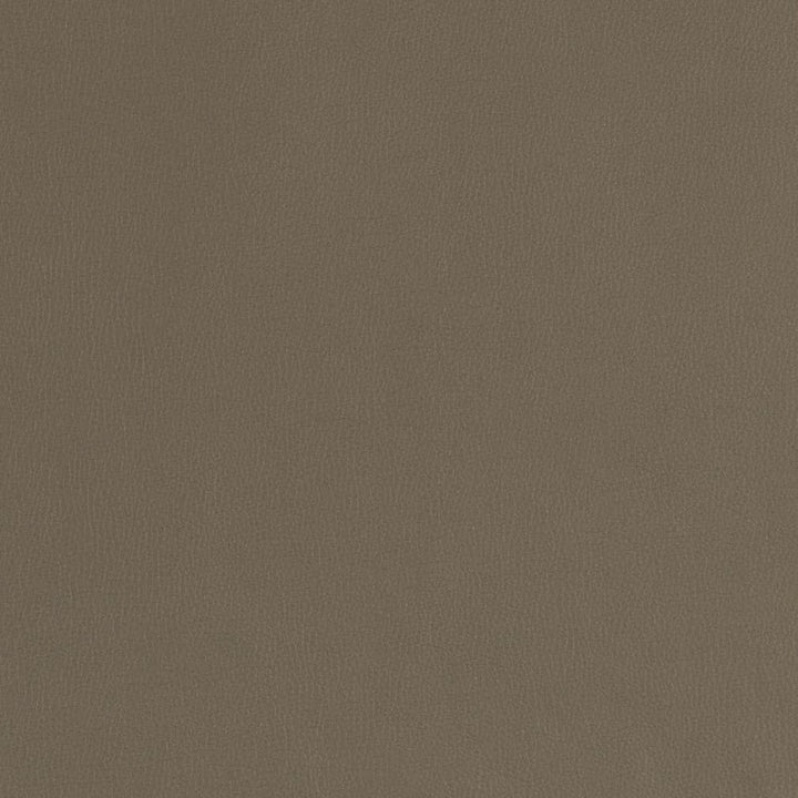 V787 Ash by Charlotte Fabric Value Vinyl III 22oz, Face: 100% Polyurethane, Back: 70% Polyester, 30% Cotton Asia Exceeds 40,0000 Wyzenbeek Rubs (Heavy Duty) </p><p>Repeat: No Repeat 54 Inches - Fabric Carolina -