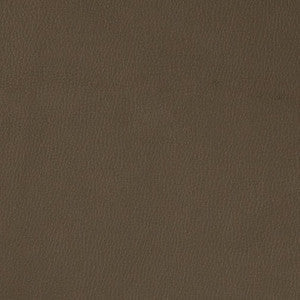V788 Graphite by Charlotte Fabric