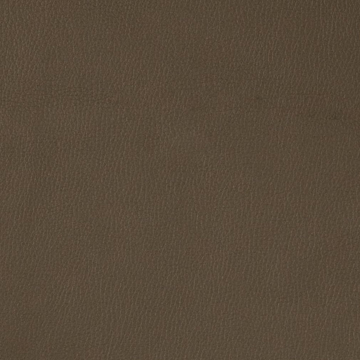 V788 Graphite by Charlotte Fabric Value Vinyl III 22oz, Face: 100% Polyurethane, Back: 70% Polyester, 30% Cotton Asia Exceeds 40,0000 Wyzenbeek Rubs (Heavy Duty) </p><p>Repeat: No Repeat 54 Inches - Fabric Carolina -