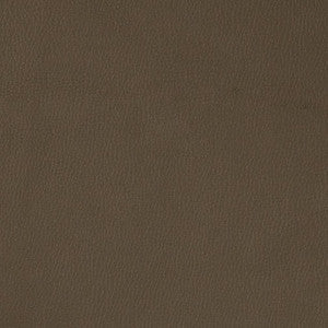 V788 Graphite by Charlotte Fabric