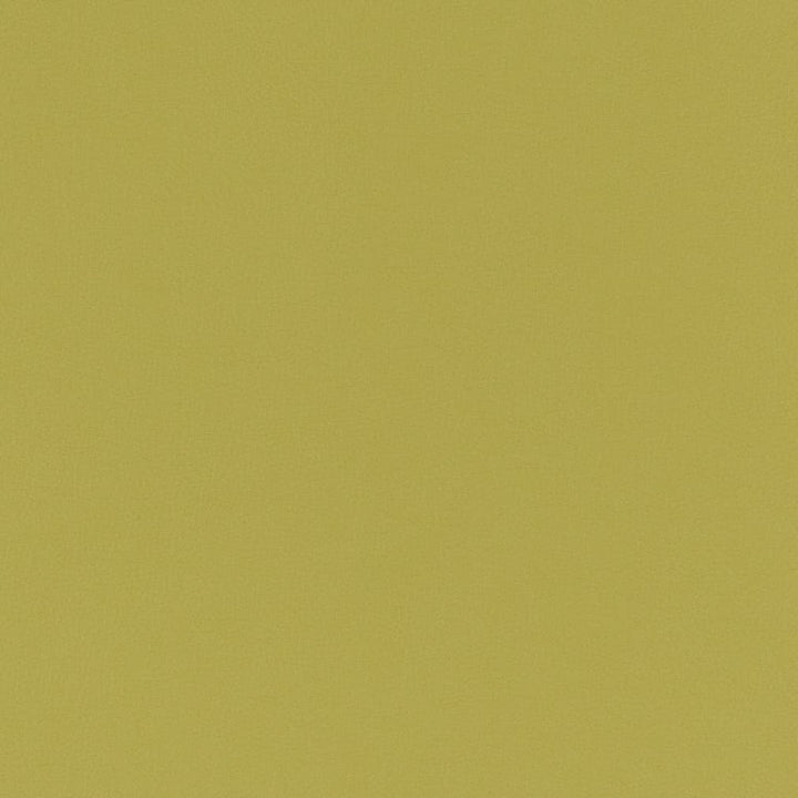 V789 Spring by Charlotte Fabric Value Vinyl III 22oz, Face: 100% Polyurethane, Back: 70% Polyester, 30% Cotton Asia Exceeds 40,0000 Wyzenbeek Rubs (Heavy Duty) </p><p>Repeat: No Repeat 54 Inches - Fabric Carolina -