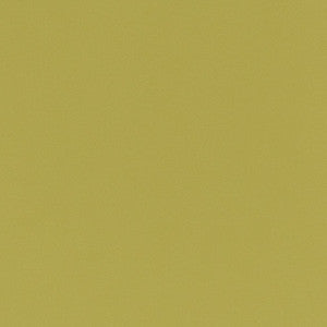 V789 Spring by Charlotte Fabric