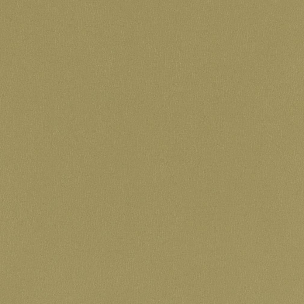 V790 Moss by Charlotte Fabric Value Vinyl III 22oz, Face: 100% Polyurethane, Back: 70% Polyester, 30% Cotton Asia Exceeds 40,0000 Wyzenbeek Rubs (Heavy Duty) </p><p>Repeat: No Repeat 54 Inches - Fabric Carolina -