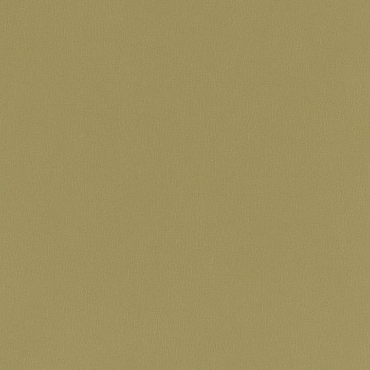V790 Moss by Charlotte Fabric Value Vinyl III 22oz, Face: 100% Polyurethane, Back: 70% Polyester, 30% Cotton Asia Exceeds 40,0000 Wyzenbeek Rubs (Heavy Duty) </p><p>Repeat: No Repeat 54 Inches - Fabric Carolina -