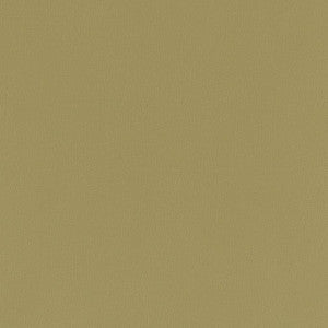 V790 Moss by Charlotte Fabric