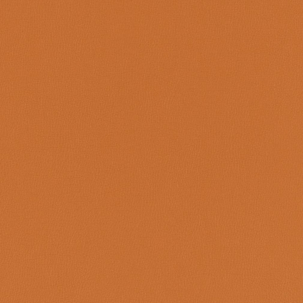 V792 Marmalade by Charlotte Fabric Value Vinyl III 22oz, Face: 100% Polyurethane, Back: 70% Polyester, 30% Cotton Asia Exceeds 40,0000 Wyzenbeek Rubs (Heavy Duty) </p><p>Repeat: No Repeat 54 Inches - Fabric Carolina -