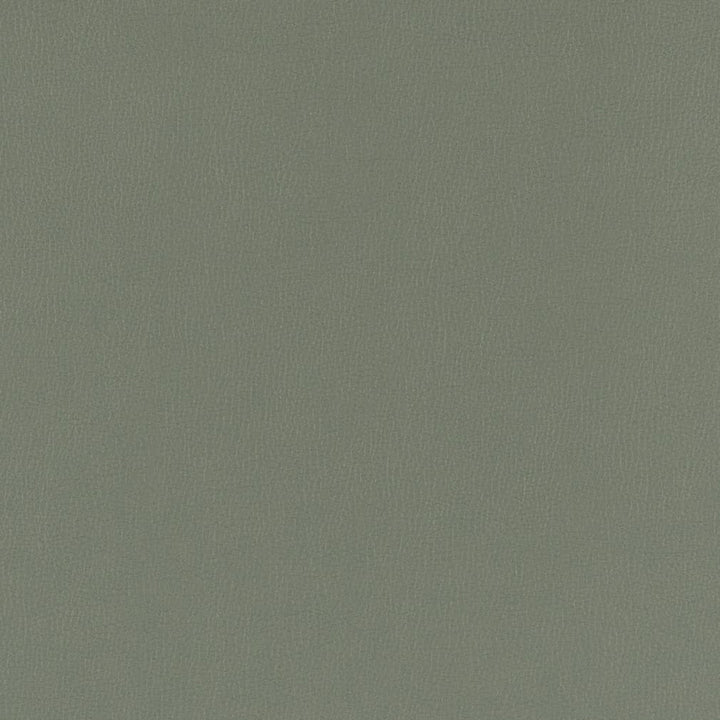 V798 Slate by Charlotte Fabric Value Vinyl III 22oz, Face: 100% Polyurethane, Back: 70% Polyester, 30% Cotton Asia Exceeds 40,0000 Wyzenbeek Rubs (Heavy Duty) </p><p>Repeat: No Repeat 54 Inches - Fabric Carolina -