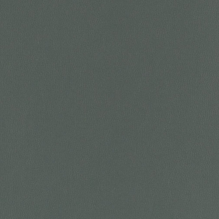 V802 Aegean by Charlotte Fabric Value Vinyl III 22oz, Face: 100% Polyurethane, Back: 70% Polyester, 30% Cotton Asia Exceeds 40,0000 Wyzenbeek Rubs (Heavy Duty) </p><p>Repeat: No Repeat 54 Inches - Fabric Carolina -