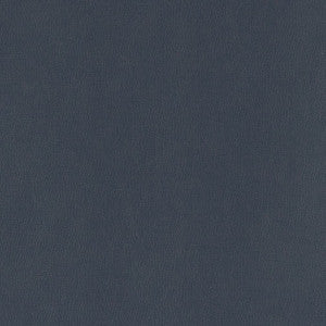 V803 Navy by Charlotte Fabric