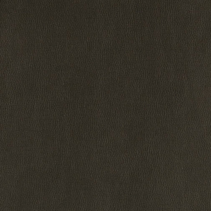 V806 Onyx by Charlotte Fabric Value Vinyl III 22oz, Face: 100% Polyurethane, Back: 70% Polyester, 30% Cotton Asia Exceeds 40,0000 Wyzenbeek Rubs (Heavy Duty) </p><p>Repeat: No Repeat 54 Inches - Fabric Carolina -