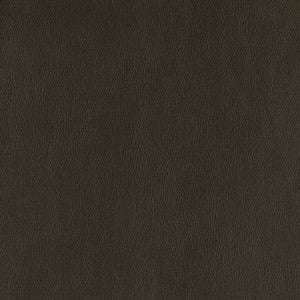 V806 Onyx by Charlotte Fabric