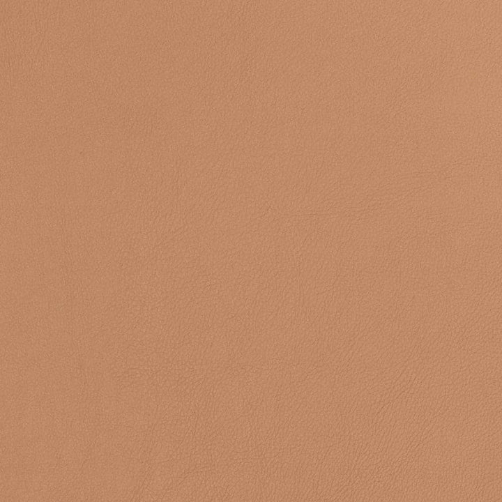 V810 by Charlotte Fabric Breathables V 100% Polyurethane, 26oz. Asia Exceeds 2,000,000 Wyzenbeek Rubs (Heavy Duty) No Repeat 54 Inches - Fabric Carolina -