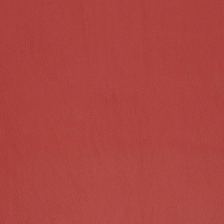 V811 by Charlotte Designer Fabric Breathables V 100% Polyurethane, 26oz. Asia Exceeds 2,000,000 Wyzenbeek Rubs (Heavy Duty) No Repeat 54 Inches - Swanky Fabrics -