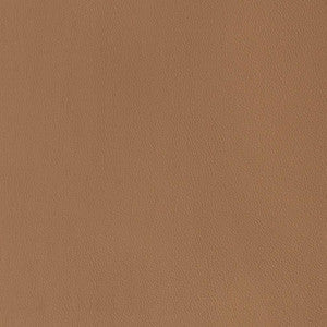 V813 by Charlotte Fabric