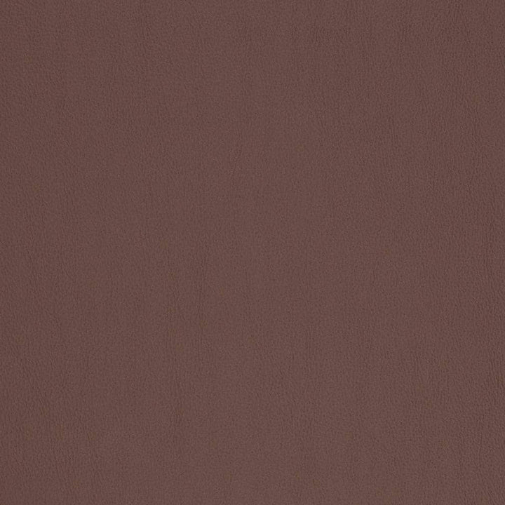 V815 by Charlotte Designer Fabric Breathables V 100% Polyurethane, 26oz. Asia Exceeds 2,000,000 Wyzenbeek Rubs (Heavy Duty) No Repeat 54 Inches - Swanky Fabrics -