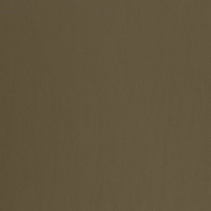 V817 by Charlotte Fabric Breathables V 100% Polyurethane, 26oz. Asia Exceeds 2,000,000 Wyzenbeek Rubs (Heavy Duty) No Repeat 54 Inches - Fabric Carolina -
