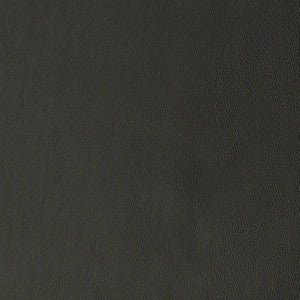 V818 by Charlotte Fabric