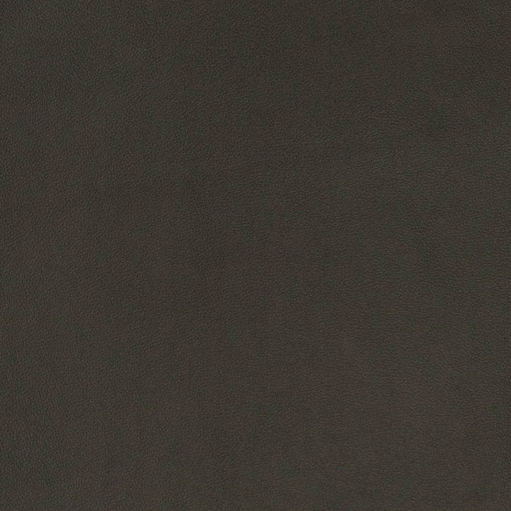 V822 by Charlotte Fabric Breathables V 100% Polyurethane, 26oz. Asia Exceeds 2,000,000 Wyzenbeek Rubs (Heavy Duty) No Repeat 54 Inches - Fabric Carolina -