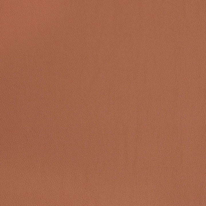 V823 by Charlotte Designer Fabric Breathables V 100% Polyurethane, 26oz. Asia Exceeds 2,000,000 Wyzenbeek Rubs (Heavy Duty) No Repeat 54 Inches - Swanky Fabrics -