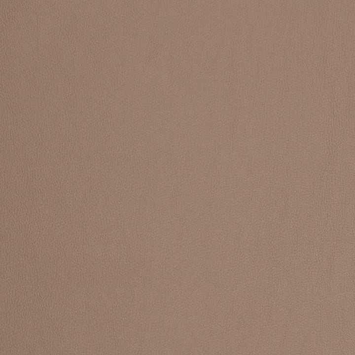 V827 by Charlotte Designer Fabric Breathables V 100% Polyurethane, 26oz. Asia Exceeds 2,000,000 Wyzenbeek Rubs (Heavy Duty) No Repeat 54 Inches - Swanky Fabrics -
