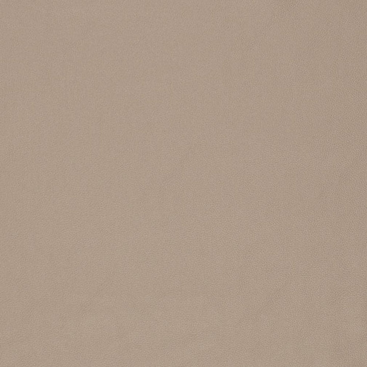 V829 by Charlotte Fabric Breathables V 100% Polyurethane, 26oz. Asia Exceeds 2,000,000 Wyzenbeek Rubs (Heavy Duty) No Repeat 54 Inches - Fabric Carolina -