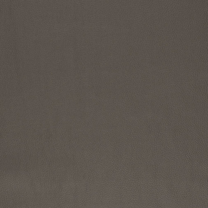 V831 by Charlotte Designer Fabric Breathables V 100% Polyurethane, 26oz. Asia Exceeds 2,000,000 Wyzenbeek Rubs (Heavy Duty) No Repeat 54 Inches - Swanky Fabrics -