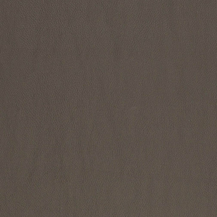 V833 by Charlotte Fabric Breathables V 100% Polyurethane, 26oz. Asia Exceeds 2,000,000 Wyzenbeek Rubs (Heavy Duty) No Repeat 54 Inches - Fabric Carolina -