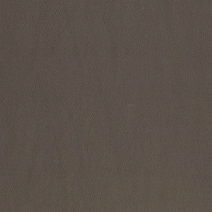 V833 by Charlotte Fabric
