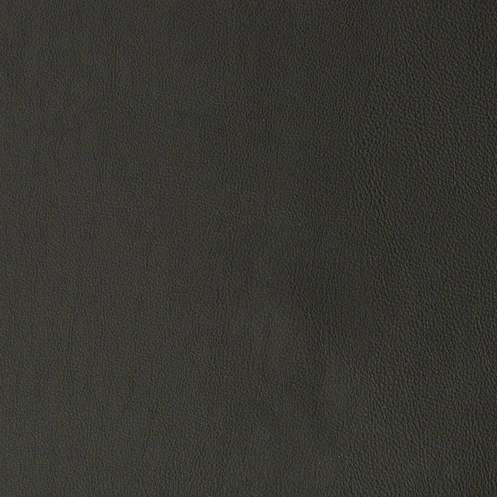 V838 by Charlotte Designer Fabric Breathables V 100% Polyurethane, 26oz. Asia Exceeds 2,000,000 Wyzenbeek Rubs (Heavy Duty) No Repeat 54 Inches - Swanky Fabrics -