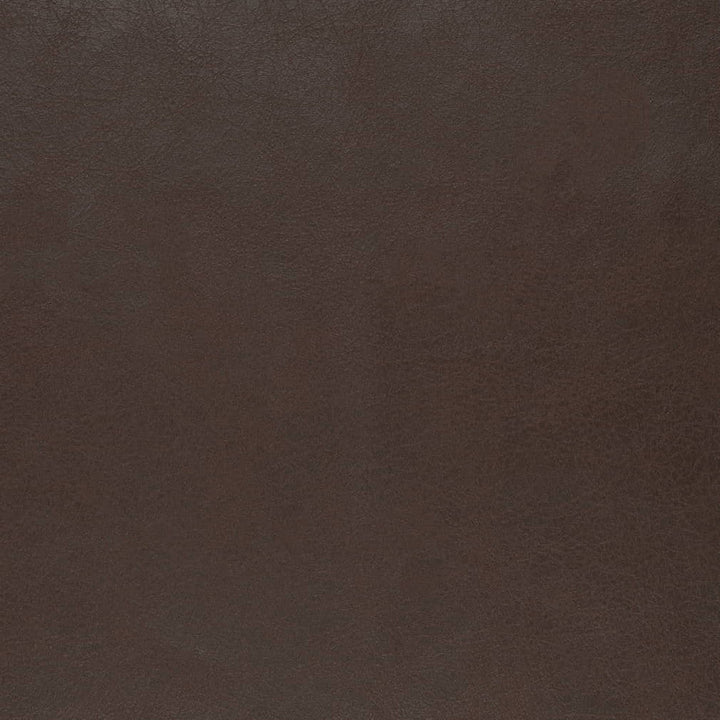 V856 Chocolate by Charlotte Fabric Leather Looks 100% Polyester Asia Exceeds 100,000 Wyzenbeek Rubs (Heavy Duty) No Repeat 54 Inches - Fabric Carolina -