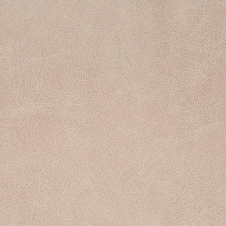 V857 Fog by Charlotte Fabric Leather Looks 100% Polyester Asia Exceeds 100,000 Wyzenbeek Rubs (Heavy Duty) No Repeat 54 Inches - Fabric Carolina -