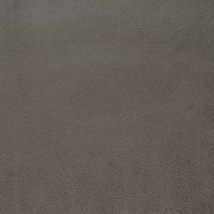 V859 Steel by Charlotte Fabric Leather Looks 100% Polyester Asia Exceeds 100,000 Wyzenbeek Rubs (Heavy Duty) No Repeat 54 Inches - Fabric Carolina -