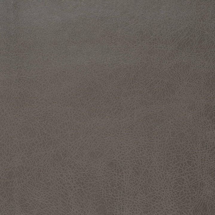 V859 Steel by Charlotte Fabric Leather Looks 100% Polyester Asia Exceeds 100,000 Wyzenbeek Rubs (Heavy Duty) No Repeat 54 Inches - Fabric Carolina -