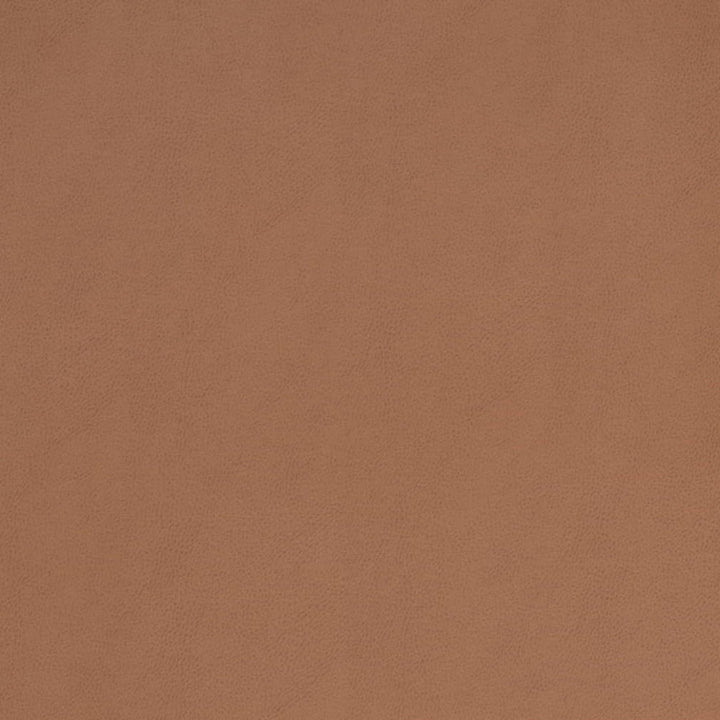 V860 Saddle by Charlotte Fabric Leather Looks 69% Polyurethane, 28% Polyester, 3% Cotton Asia Exceeds 100,000 Wyzenbeek Rubs (Heavy Duty) No Repeat 54 Inches - Fabric Carolina -