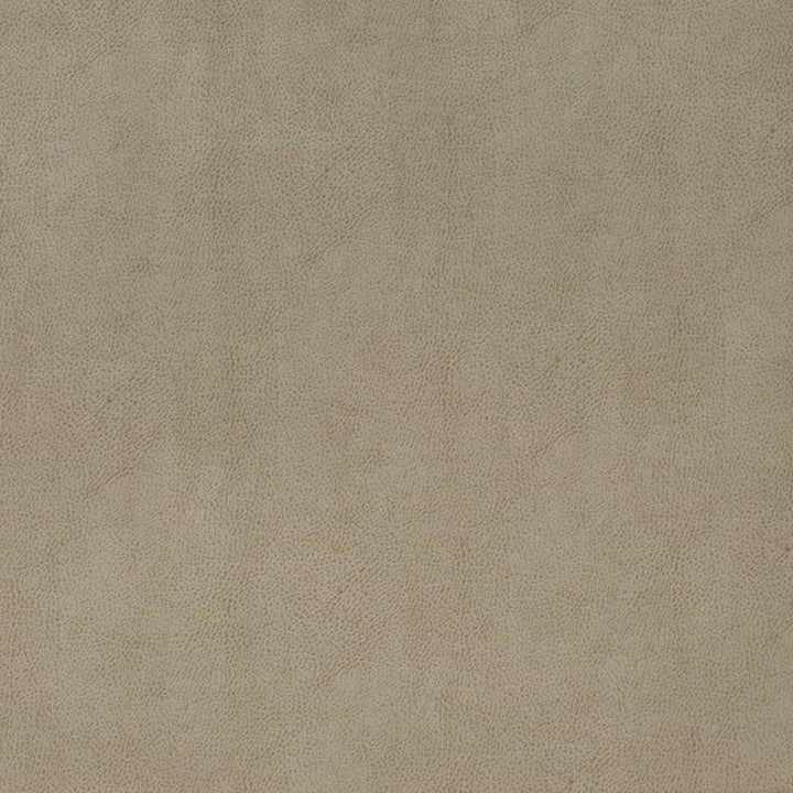 V863 Flint by Charlotte Fabric Leather Looks 69% Polyurethane, 28% Polyester, 3% Cotton Asia Exceeds 100,000 Wyzenbeek Rubs (Heavy Duty) No Repeat 54 Inches - Fabric Carolina -